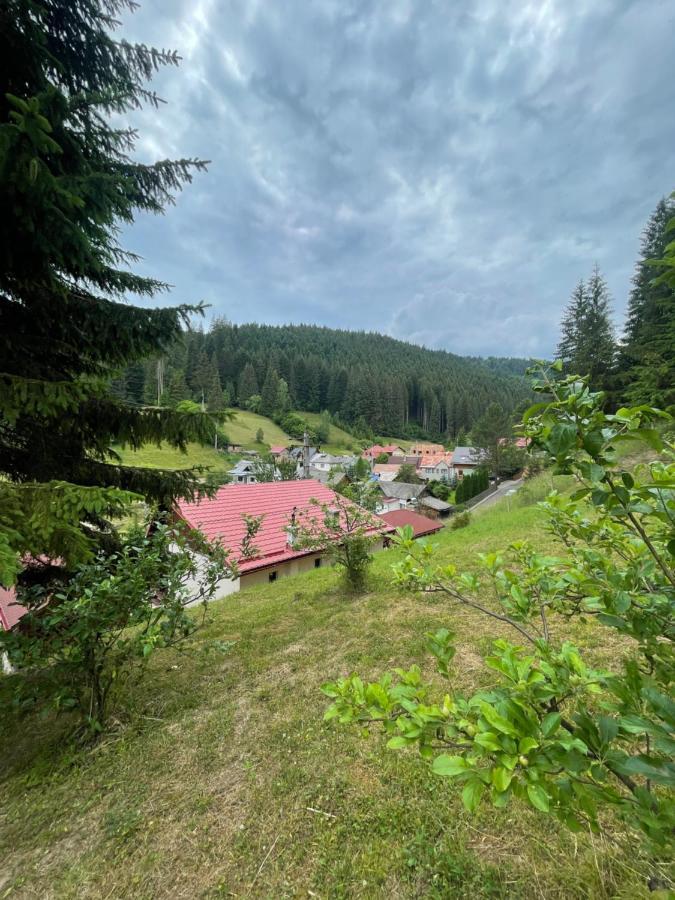 Casa De Vacanta Chesa Borsec Esterno foto