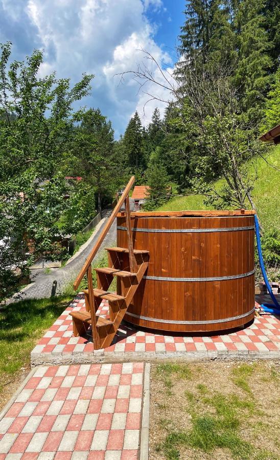 Casa De Vacanta Chesa Borsec Esterno foto